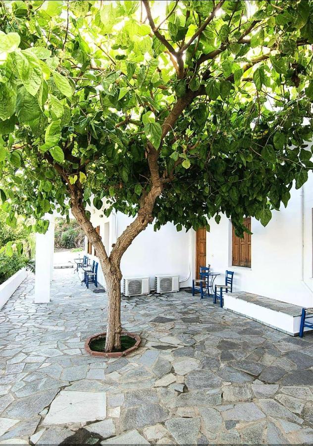 Mavrikou Helen Apartments Skyros Esterno foto