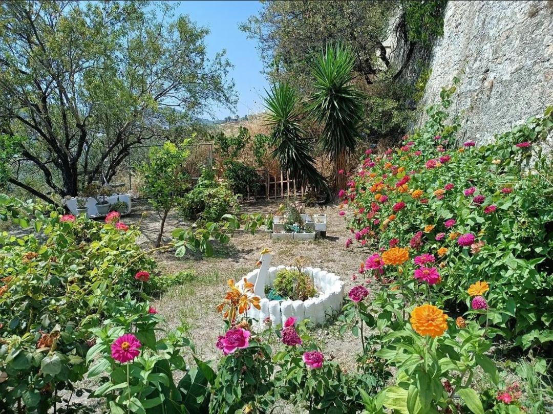 Mavrikou Helen Apartments Skyros Esterno foto