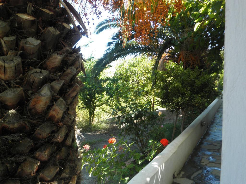 Mavrikou Helen Apartments Skyros Camera foto